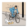 Large Calendar Tintin 2025 - 30x30cm - 24487